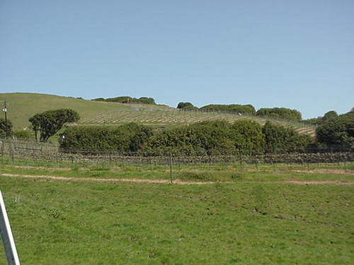 Point Reyes Vineyard Inn California City Extérieur photo