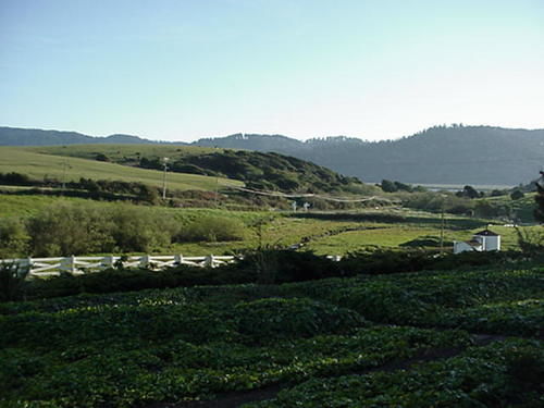 Point Reyes Vineyard Inn California City Extérieur photo