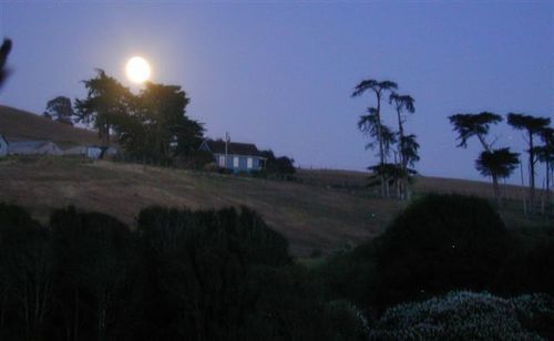 Point Reyes Vineyard Inn California City Extérieur photo