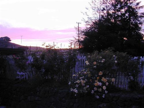 Point Reyes Vineyard Inn California City Extérieur photo