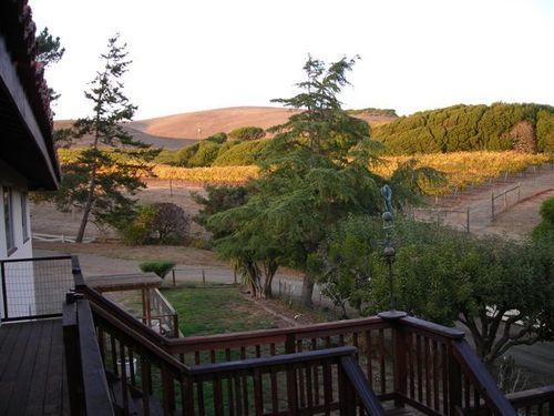 Point Reyes Vineyard Inn California City Extérieur photo